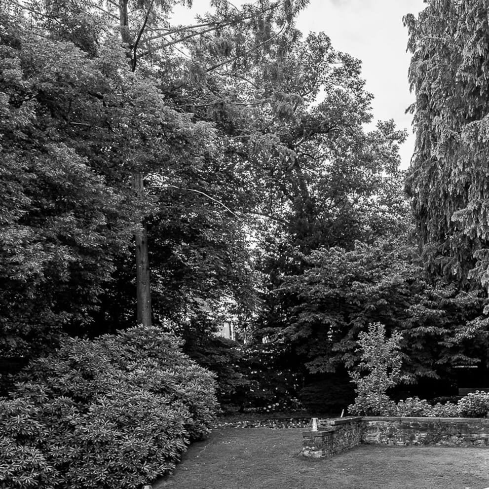 Villa auf Premium Grundstück in Königstein im Taunus