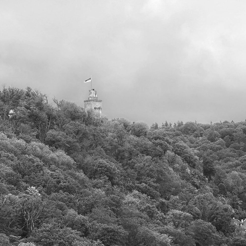 Burgblick Kronberger Burg